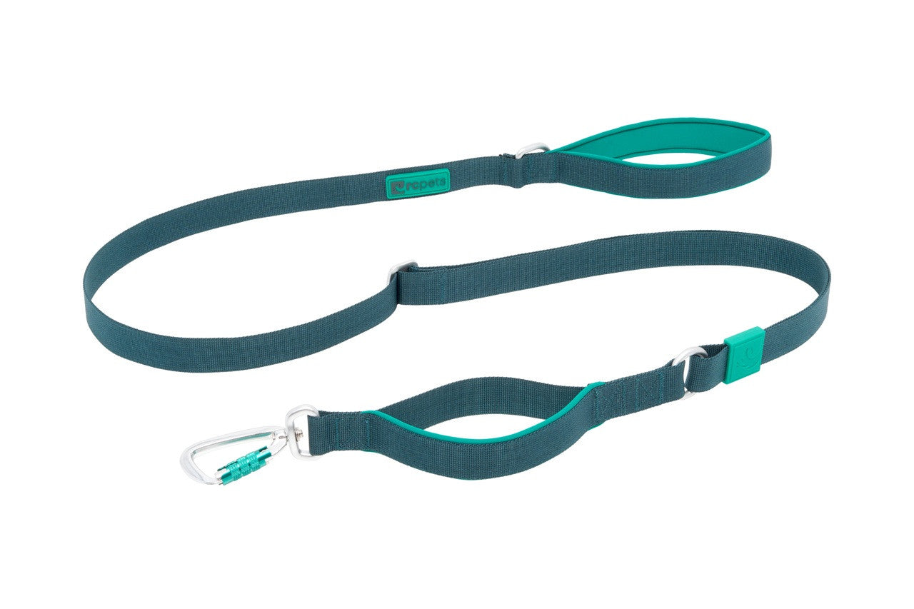 RC Stratus Adjustable Leash 1" x 7'
