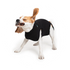Suitical Dog Recovery Suit SM Black