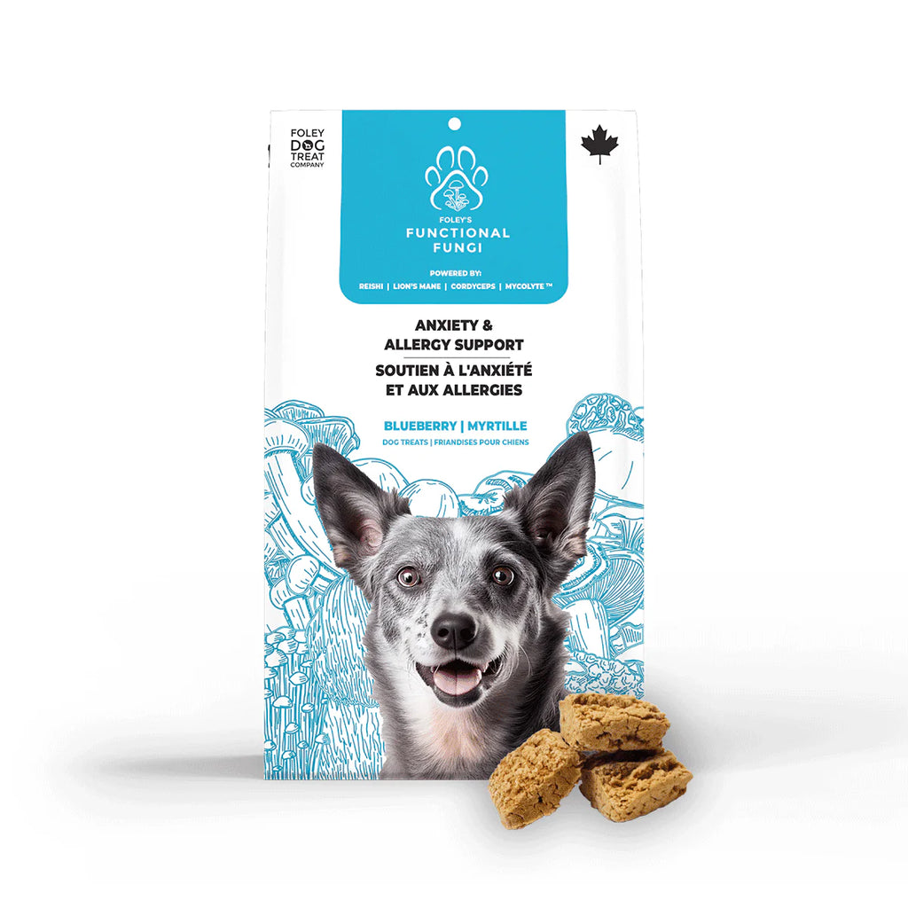 Foley's Functional Fungi Dog Anxiety&Allergy Blueberry 200g