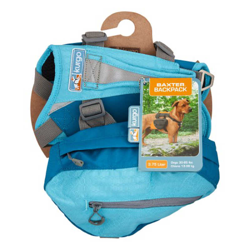 Big 2024 baxter backpack