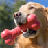 Kong Goodie Bone Red Large
