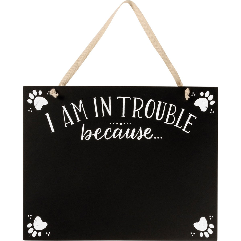 Hanging Decor - In Trouble Because