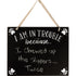 Hanging Decor - In Trouble Because
