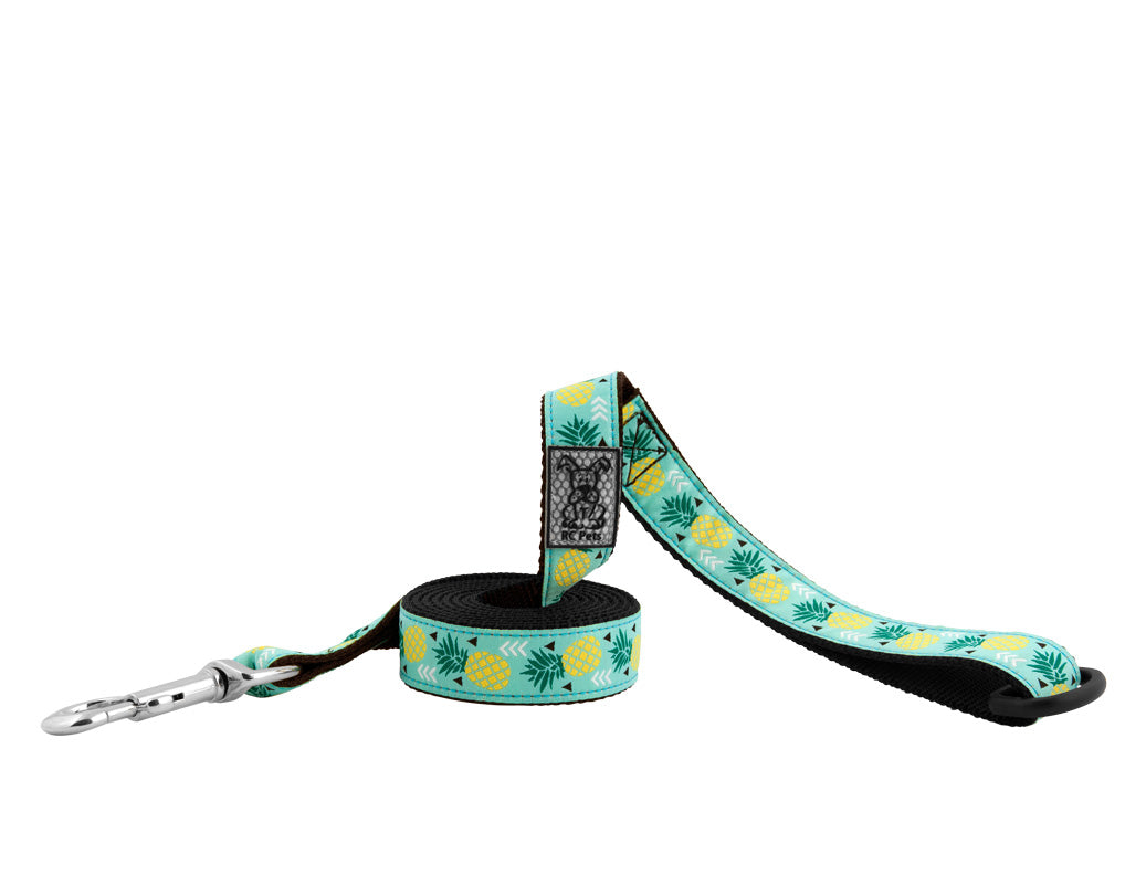 RC Pattern Dog Leash 1'X6'