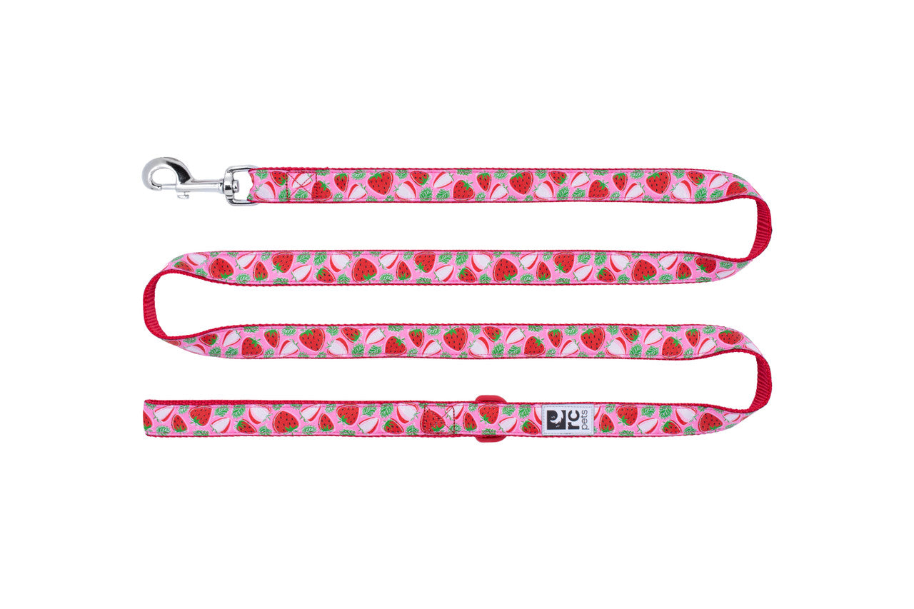RC Pattern Dog Leash 1'X6'