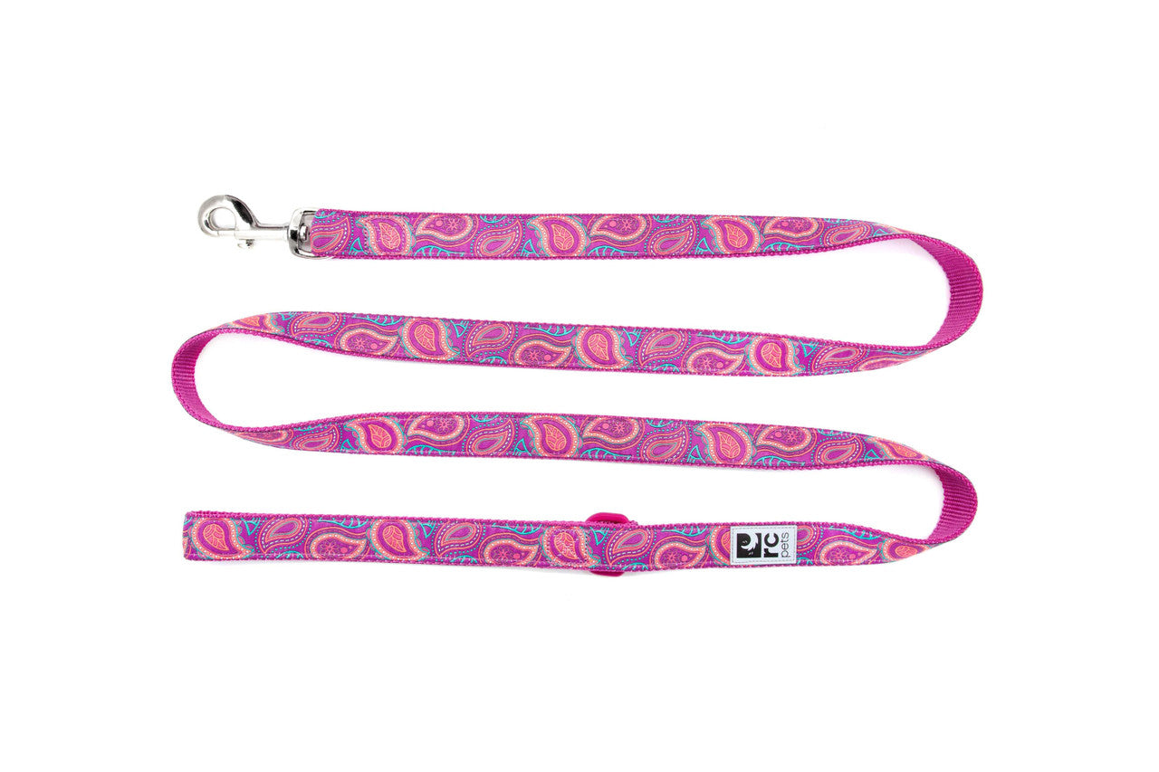 RC Pattern Dog Leash  3/4"X6'