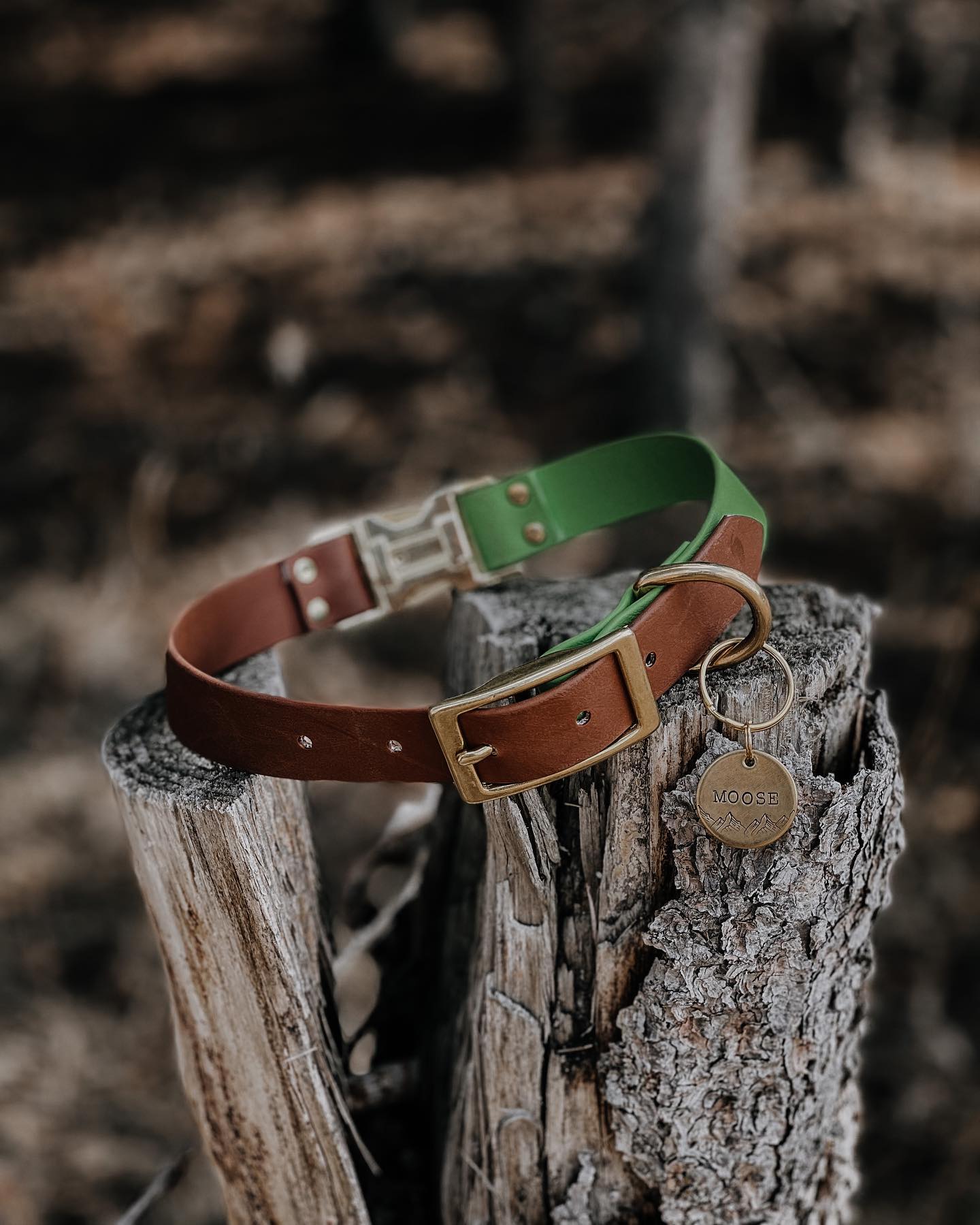 Prairie Dog Collar Co. Biothane Collar -Quick Release