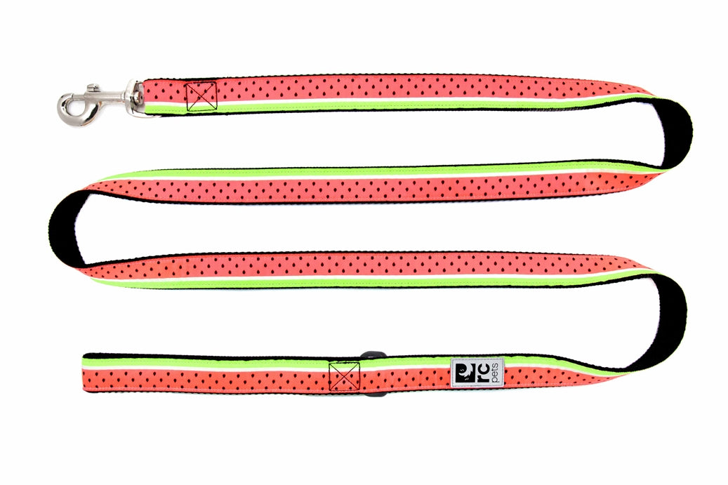 RC Pattern Dog Leash 1'X6'