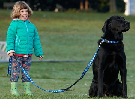 RC Pattern Dog Leash 1'X6'