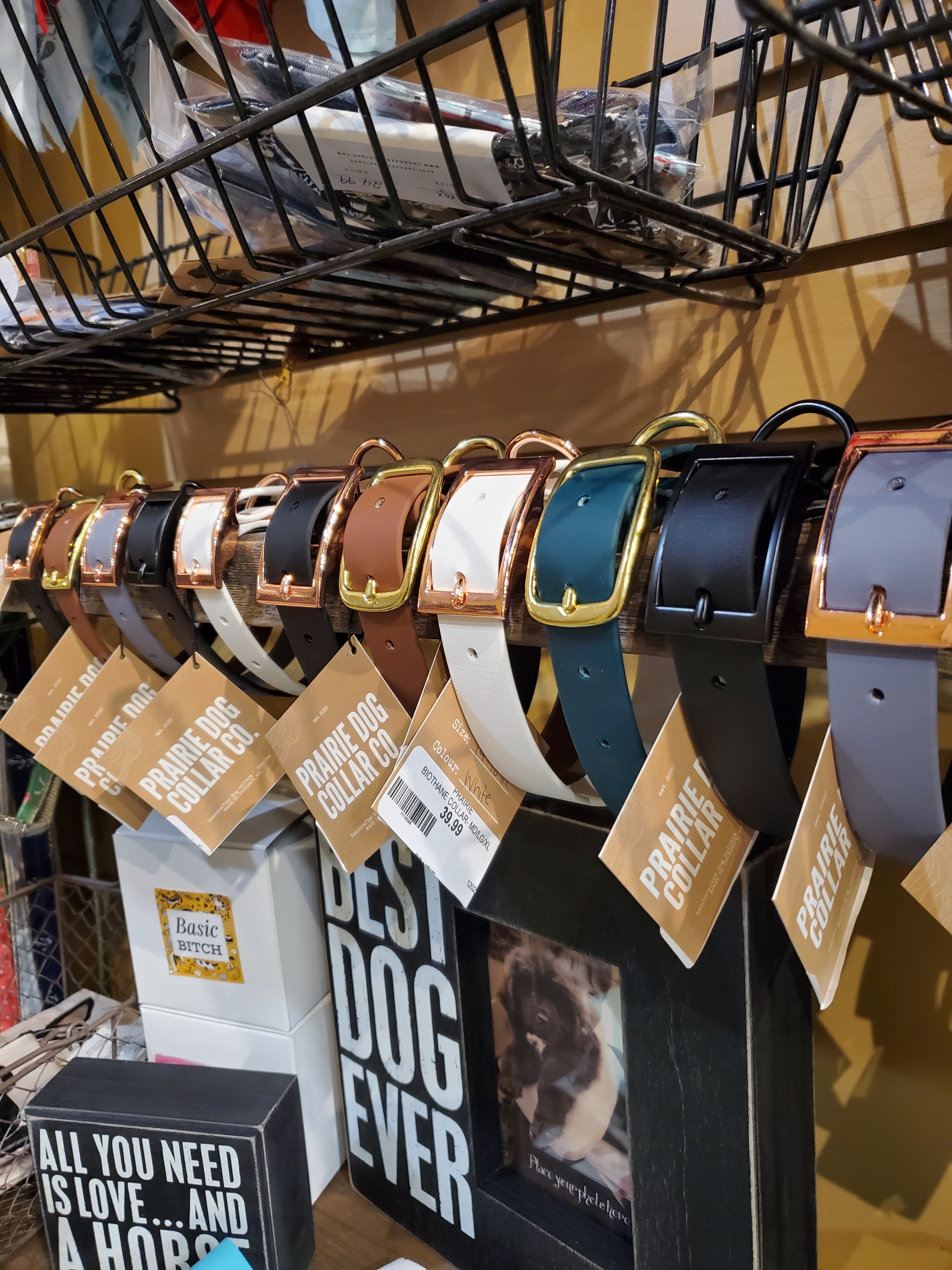 Prairie Dog Collar Co. Biothane Collar - Small