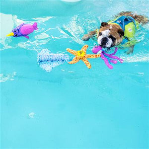 Floatiez Water Toys Outward Hound