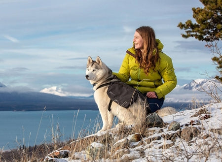 RC PETS QUEST DAY PACK- MD/LRG