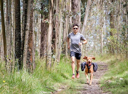 RC PETS QUEST DAY PACK- MD/LRG