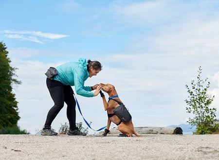 RC PETS QUEST DAY PACK XL