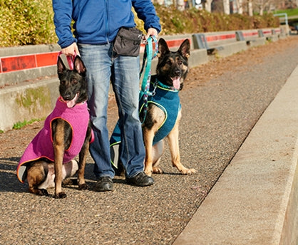 Tundra Fleece Jacket Sizes 20-22