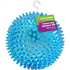 Gnawsome Ball Large 4.5" Royal Pet