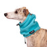 Chilly Dog Head Muff L-XL