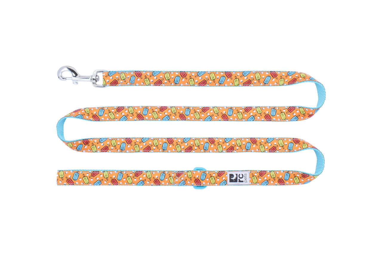 RC Pattern Dog Leash  3/4"X6'