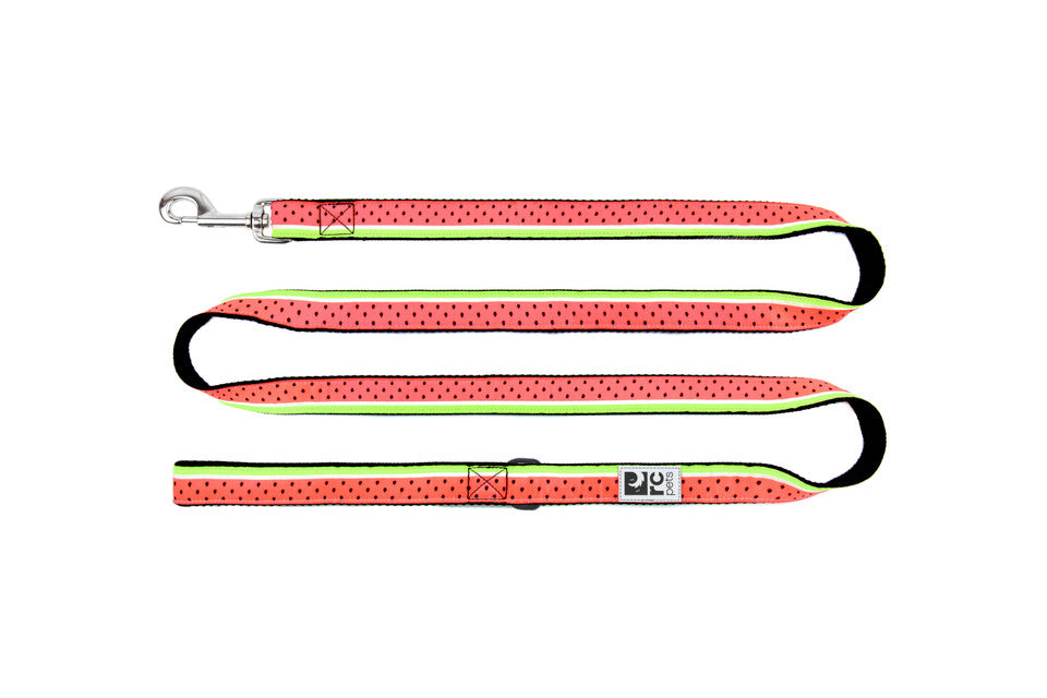 RC Pattern Dog Leash  3/4"X6'