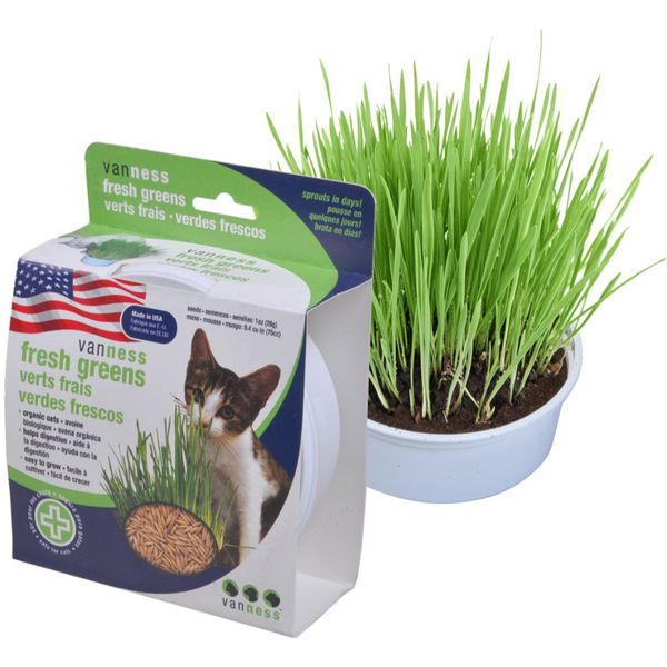 Oat Garden Grass Kit Van Ness