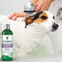 VETS BEST HYPO-ALLERGENIC SHAMPOOO 16OZ