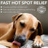 VETS BEST HOT SPOT SPRAY 8OZ