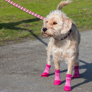 Pawks-Sport Dog Socks Rubber Base
