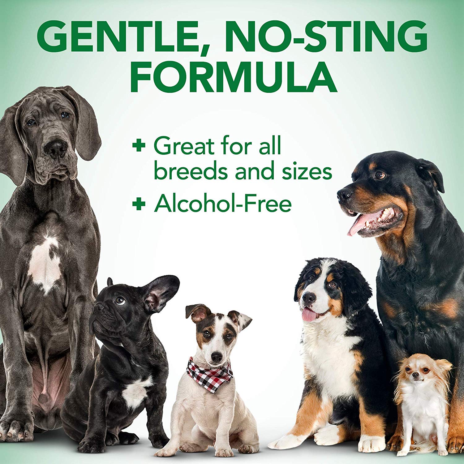 VETS BEST EAR RELIEF WASH 16OZ