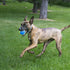 KONG Air Dog SQ Ball Med-Ultra 3pk