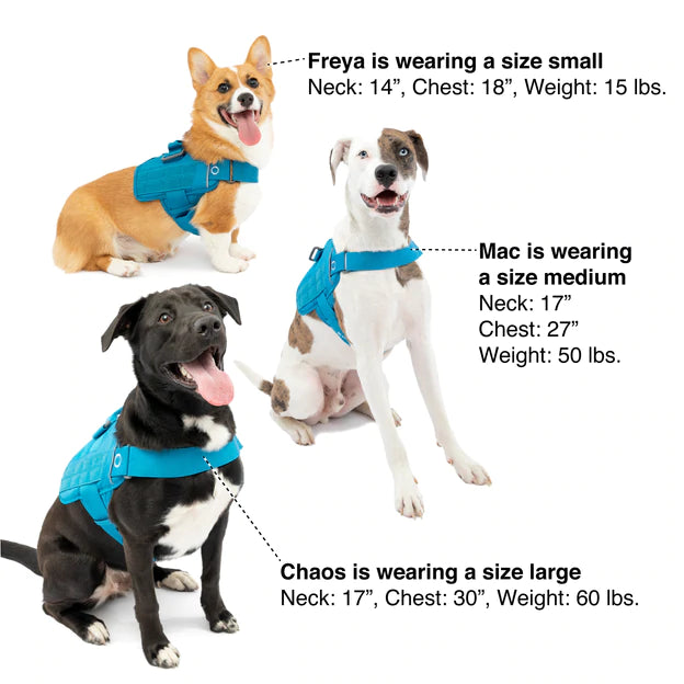 Kurgo RSG Townie Harness XL