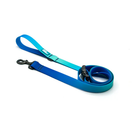Woof Concept Leash Large 6' 1" Wide