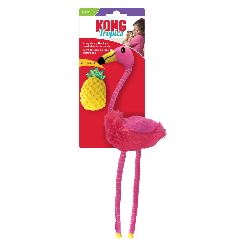Kong Tropics Flamingo 2 Pk