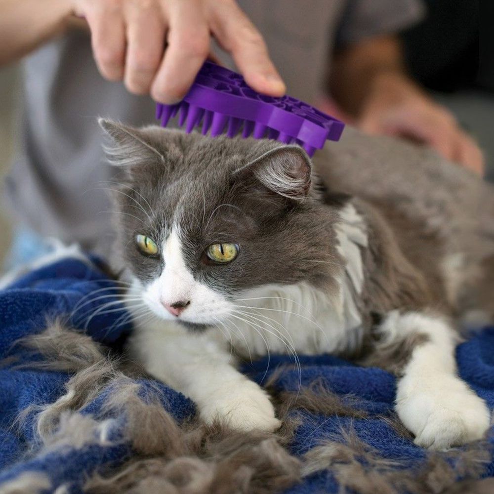 Kong Zoom Groom Cat CZG