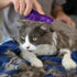 Kong Zoom Groom Cat CZG