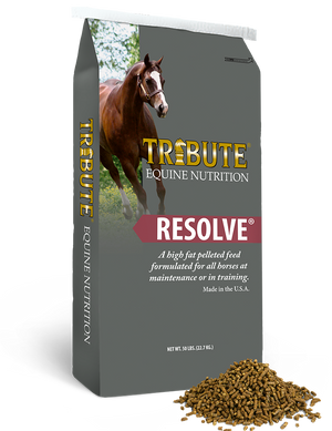 Tribute Resolve Horse Feed