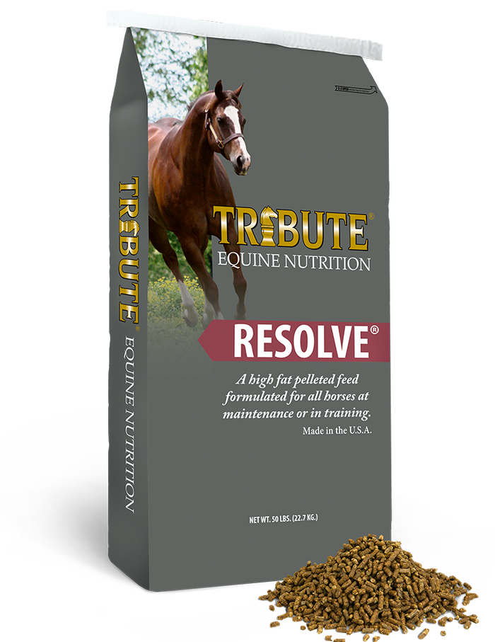 Tribute Resolve Horse Feed