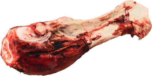 K9 Choice Beef Femur Dino Bone