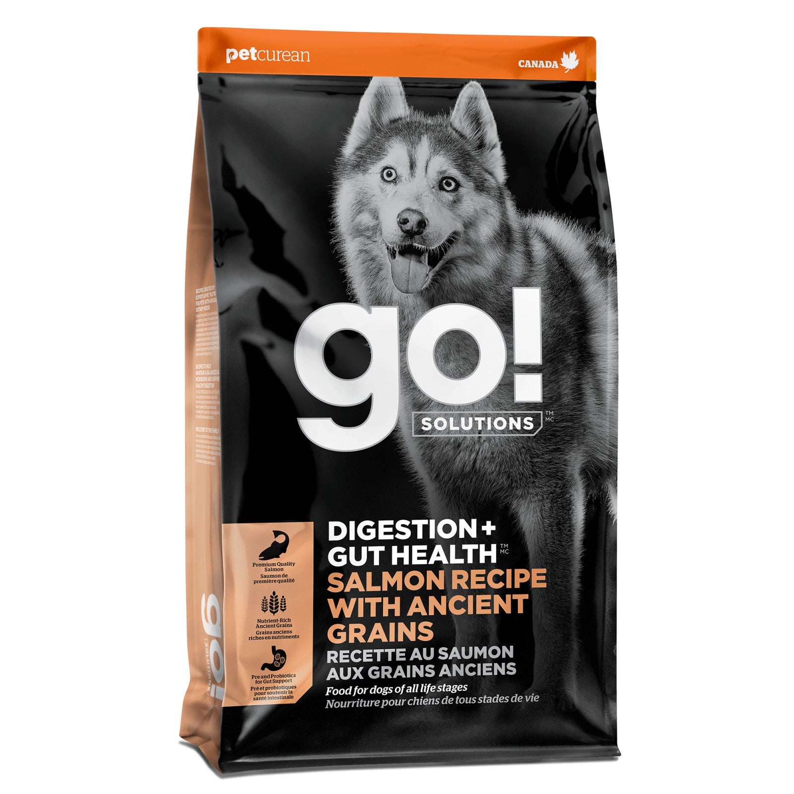Go Gut Health Salmon & Ancient Grains12lb