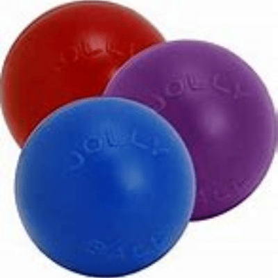 JOLLY PETS- PUSH N PLAY 10" HARD BALL