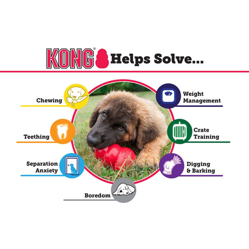 Kong Senior Purple Large