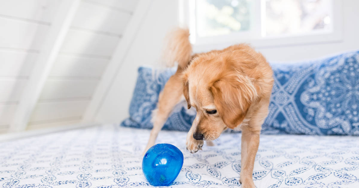 Lil Snoop 3" Treat Holder - Planet Dog