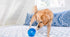 Lil Snoop 3" Treat Holder - Planet Dog