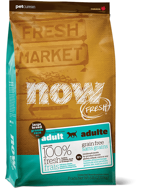 Now Fresh Grain Free Large Breed Adult 22lbs
