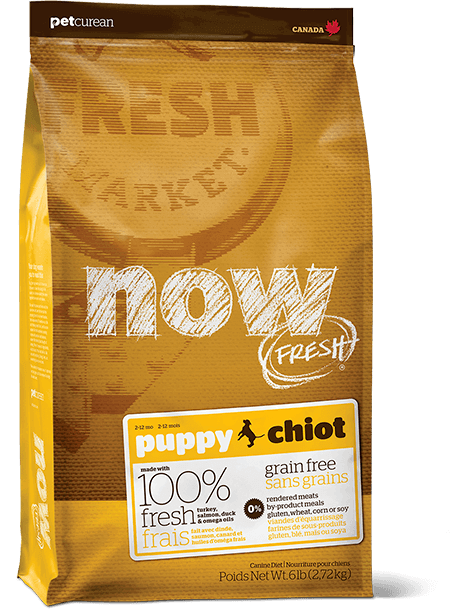 Now Fresh Grain Free Puppy 12lbs