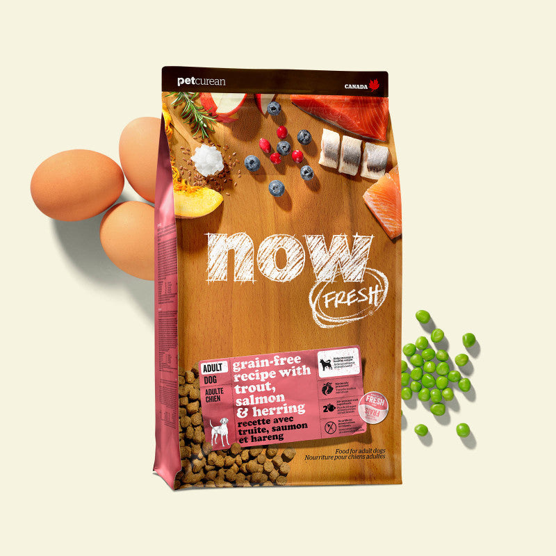 Now Dog Salmon Herring 3.5lb Dog