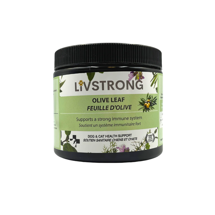 Olive Leaf Powder 100g