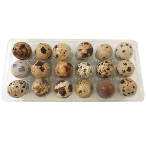 Quail Eggs 18 Count Big Country Raw