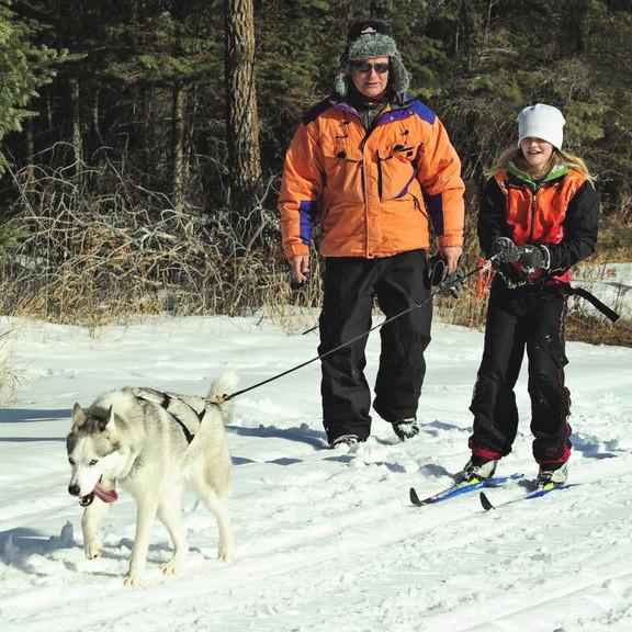 SKI-JORING BELT LARGE