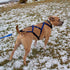 X-Back Pulling Harness Medium (Kicksledding Skijoring)