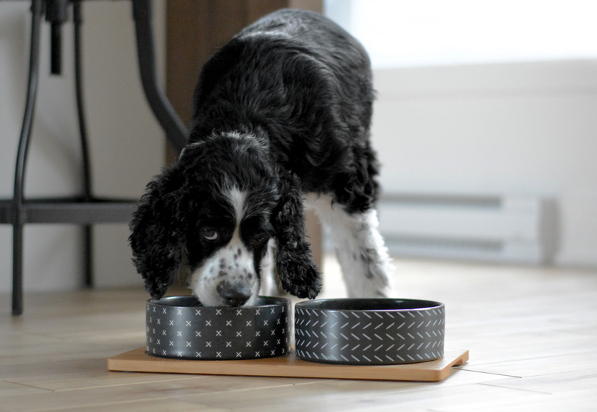 BAMBOO CERAMIC TRENDY LARGE 1250ML BE ONE BREED